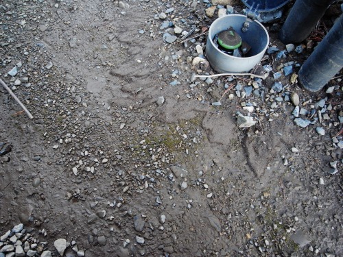 s1-R0026941.jpg